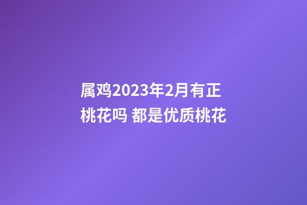 属鸡2023年2月有正桃花吗 都是优质桃花
